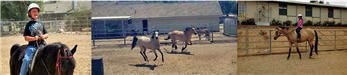 Kids Riding Horses