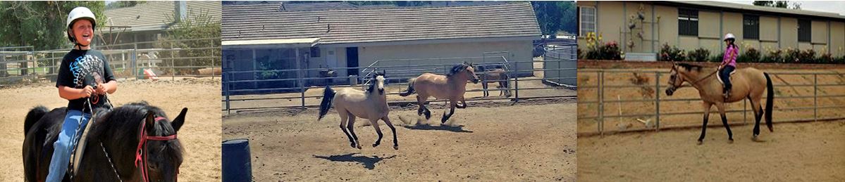 Kids Riding Horses