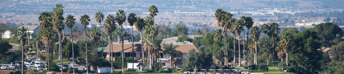 Palm Trees in a Neighborhood