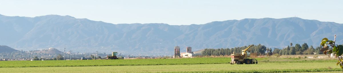Farmland in Jurupa