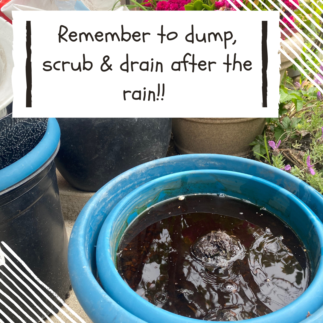 Dump and Drain Vector Control