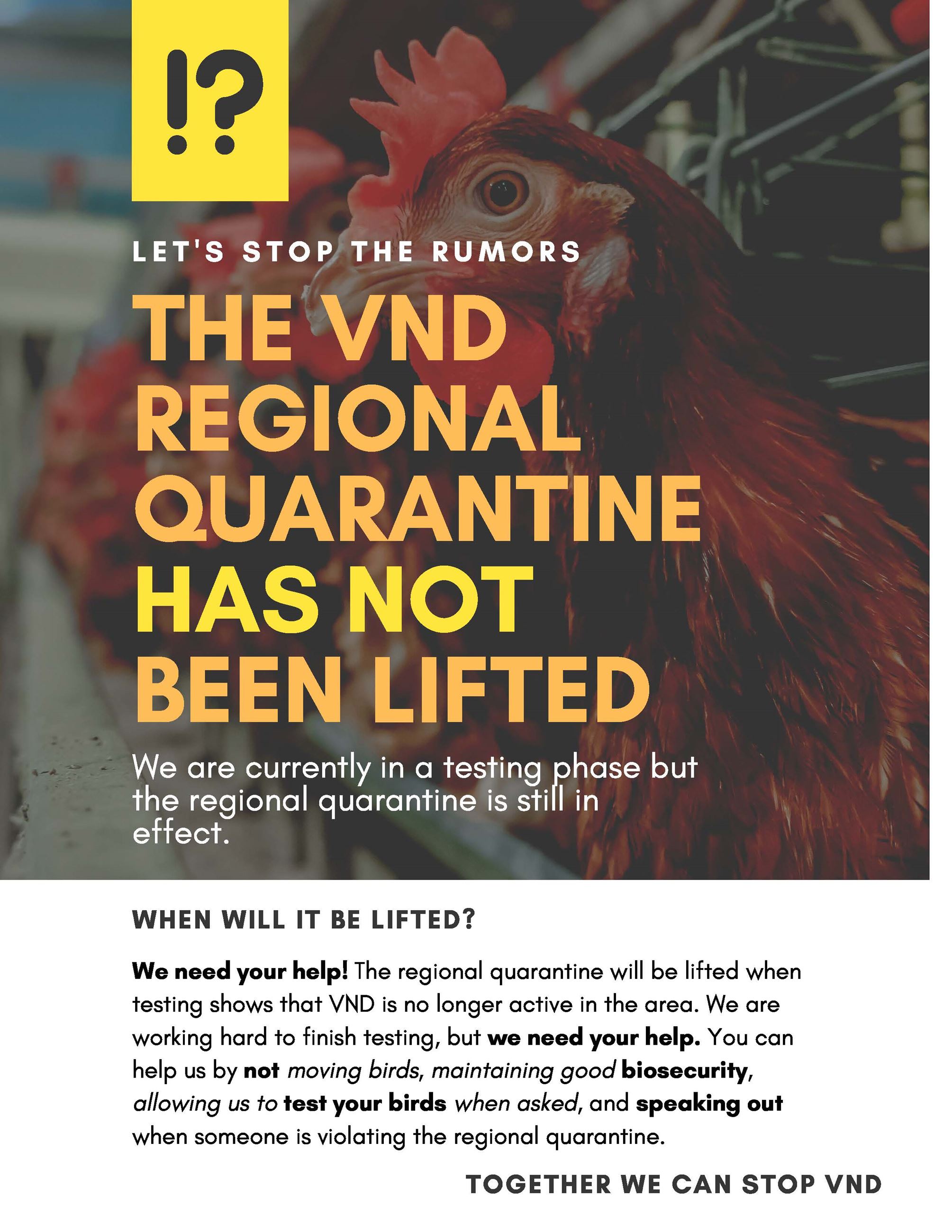 vND Message_Stop the Rumors